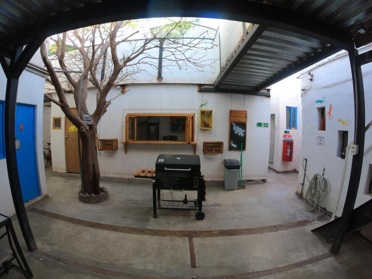 Rey Lagarto Hostel San Pedro de Atacama Exterior photo