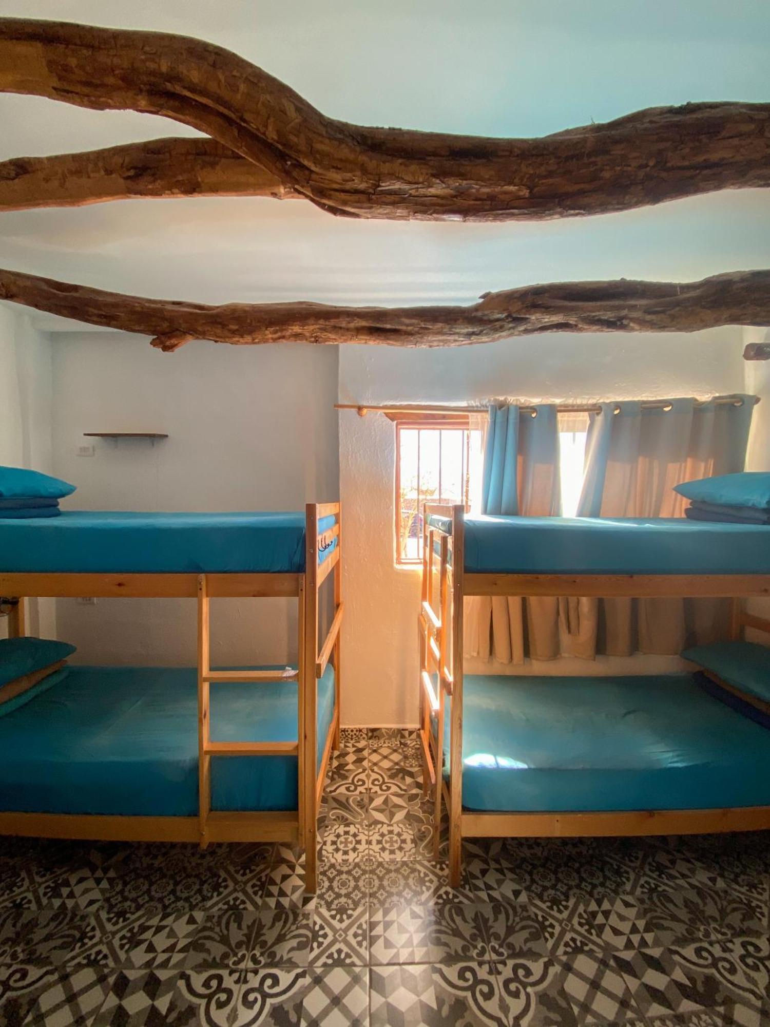 Rey Lagarto Hostel San Pedro de Atacama Exterior photo